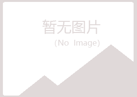 鹤岗南山盼山冶炼有限公司